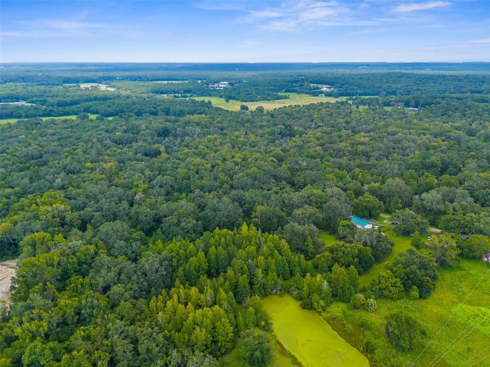 RAIN FOREST RD, BROOKSVILLE, FL — photo 4