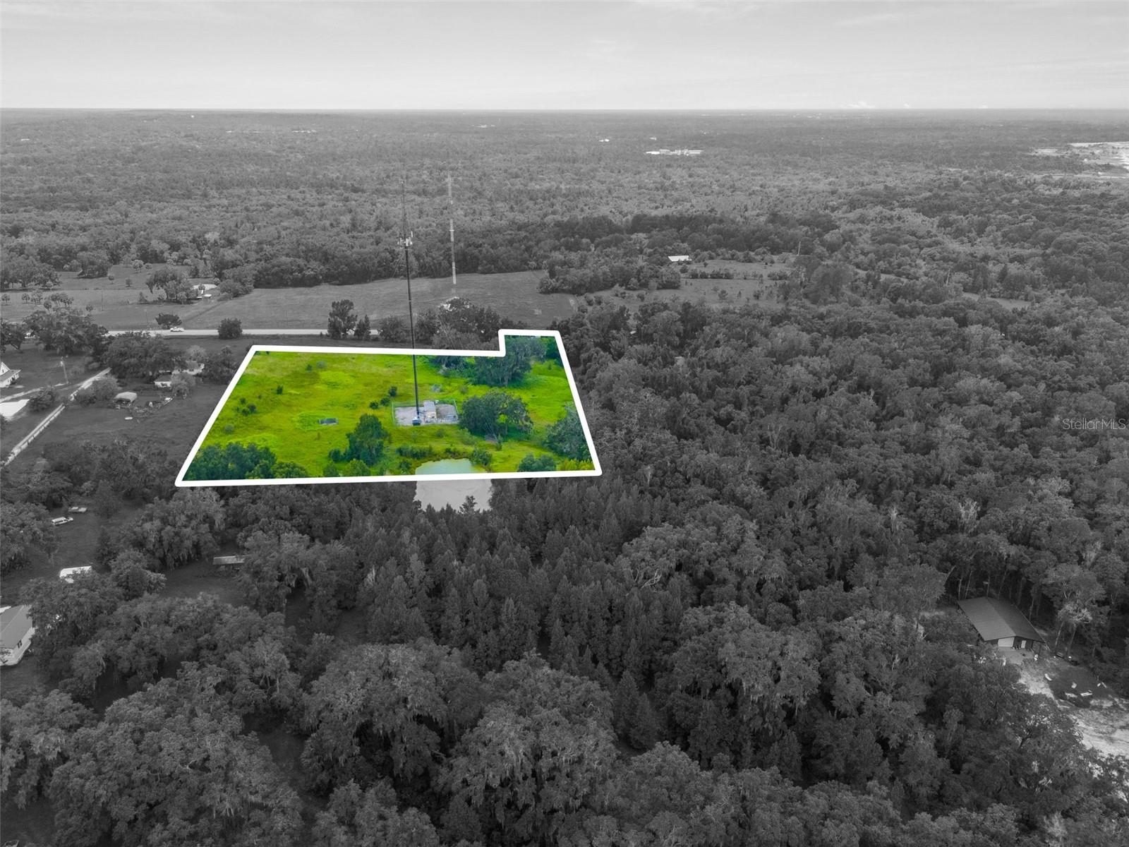RAIN FOREST RD, BROOKSVILLE, FL — photo 5