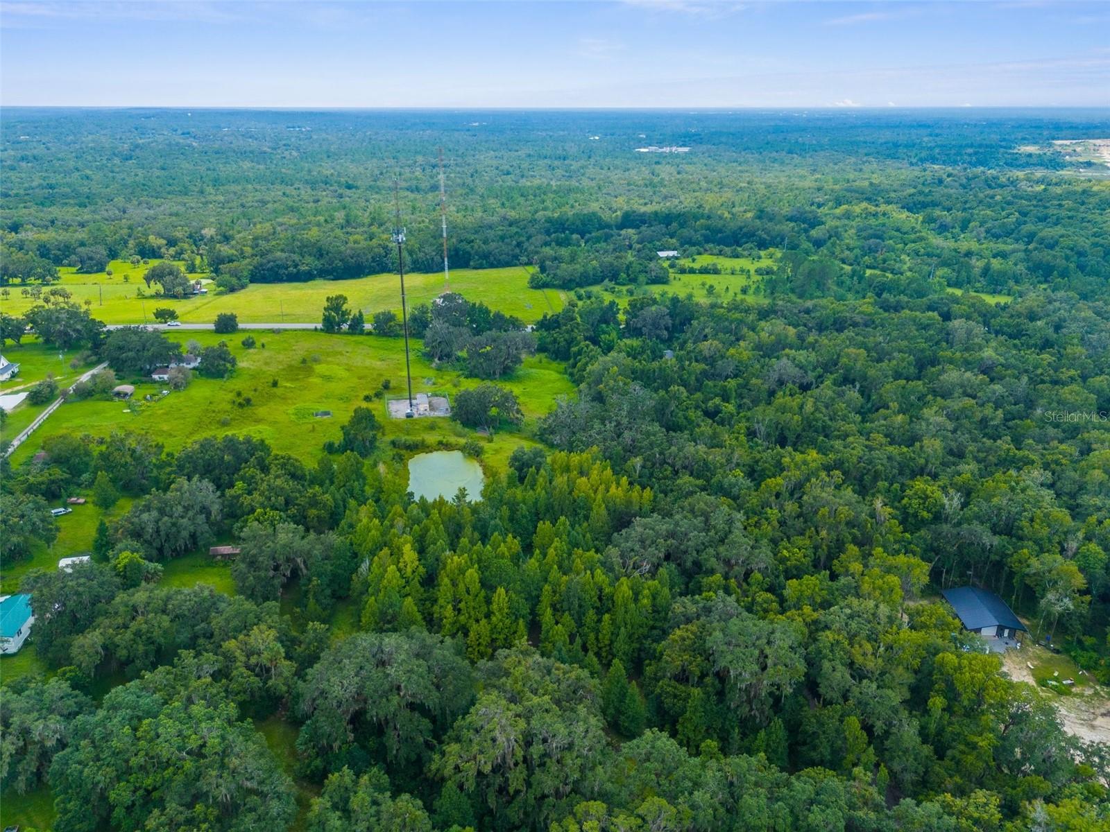 RAIN FOREST RD, BROOKSVILLE, FL — photo 7