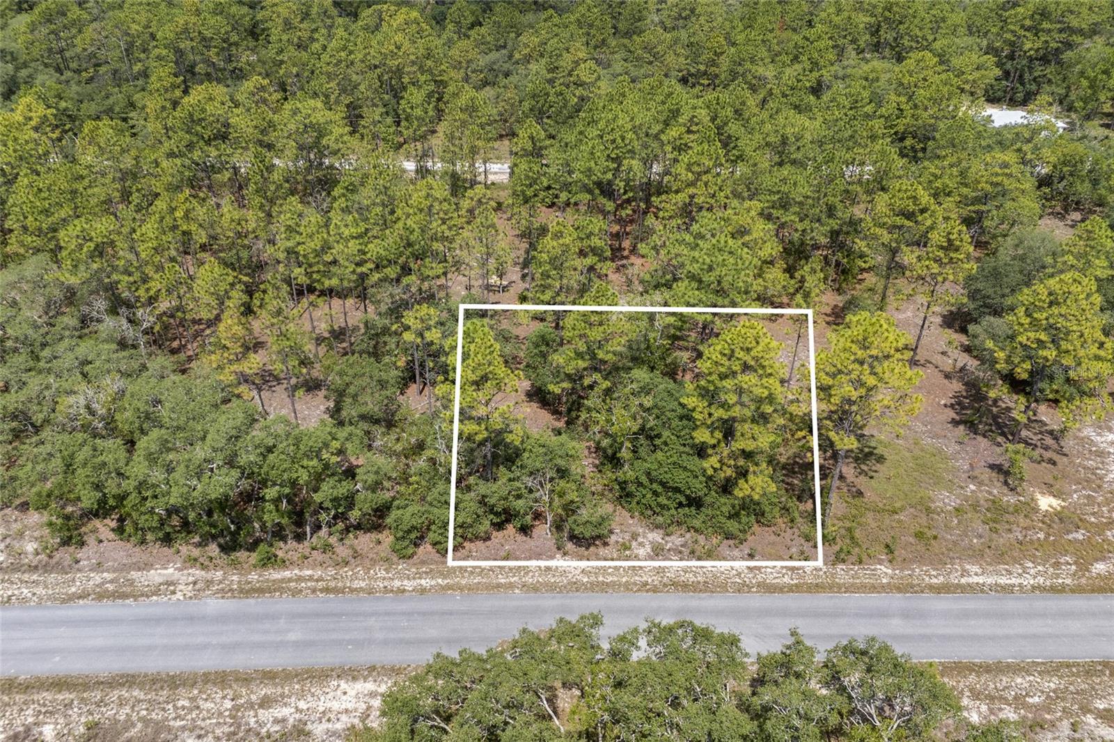 SW 134 TER, DUNNELLON, FL — photo 2