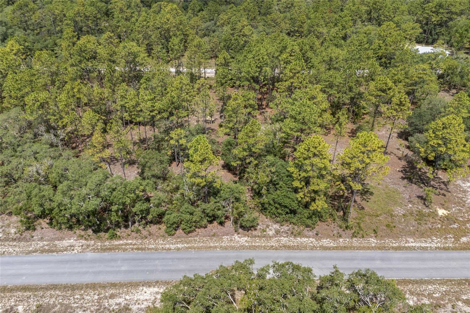 SW 134 TER, DUNNELLON, FL — photo 3