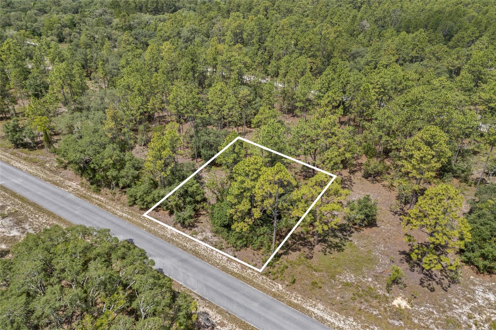 SW 134 TER, DUNNELLON, FL — photo 4