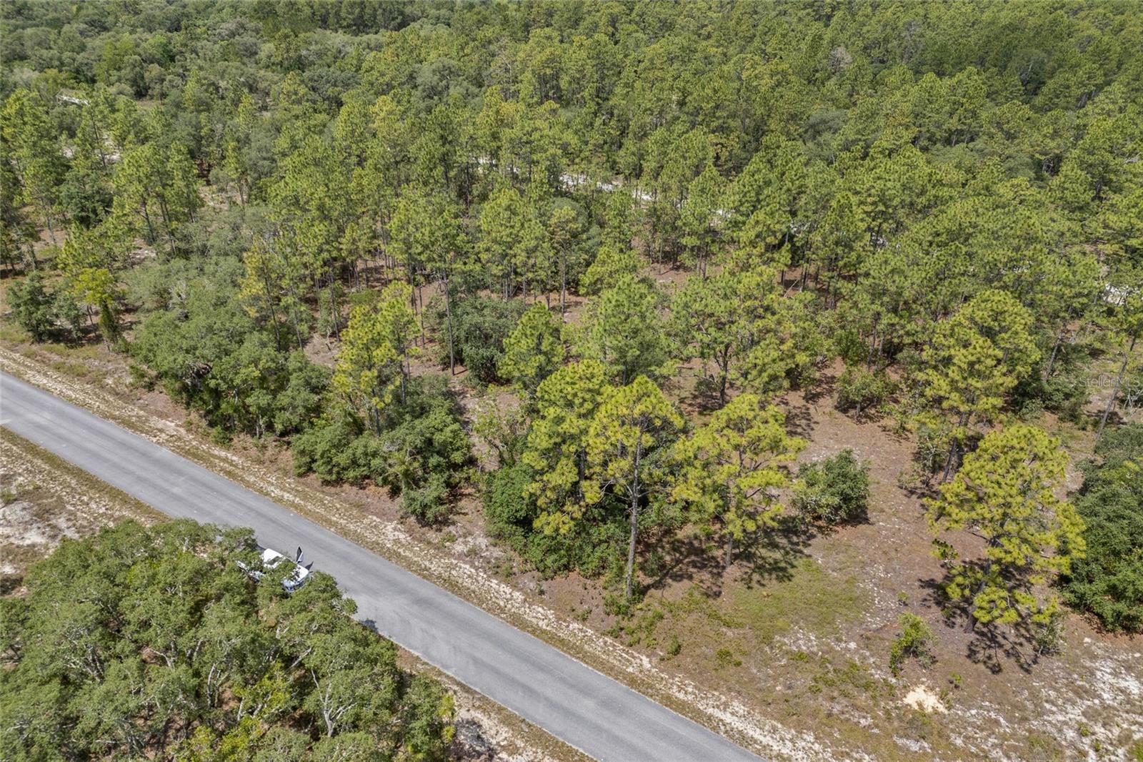 SW 134 TER, DUNNELLON, FL — photo 5