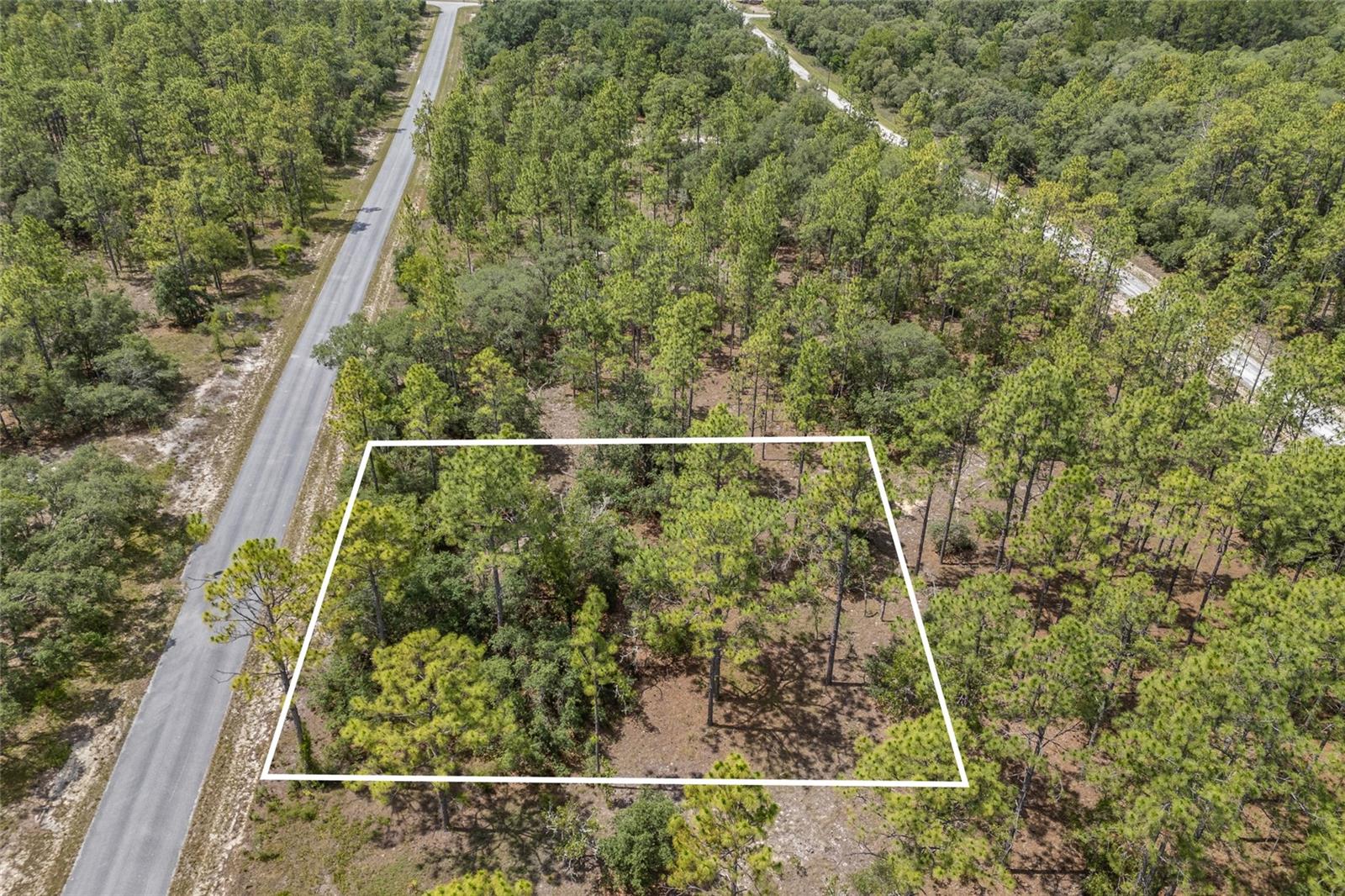 SW 134 TER, DUNNELLON, FL