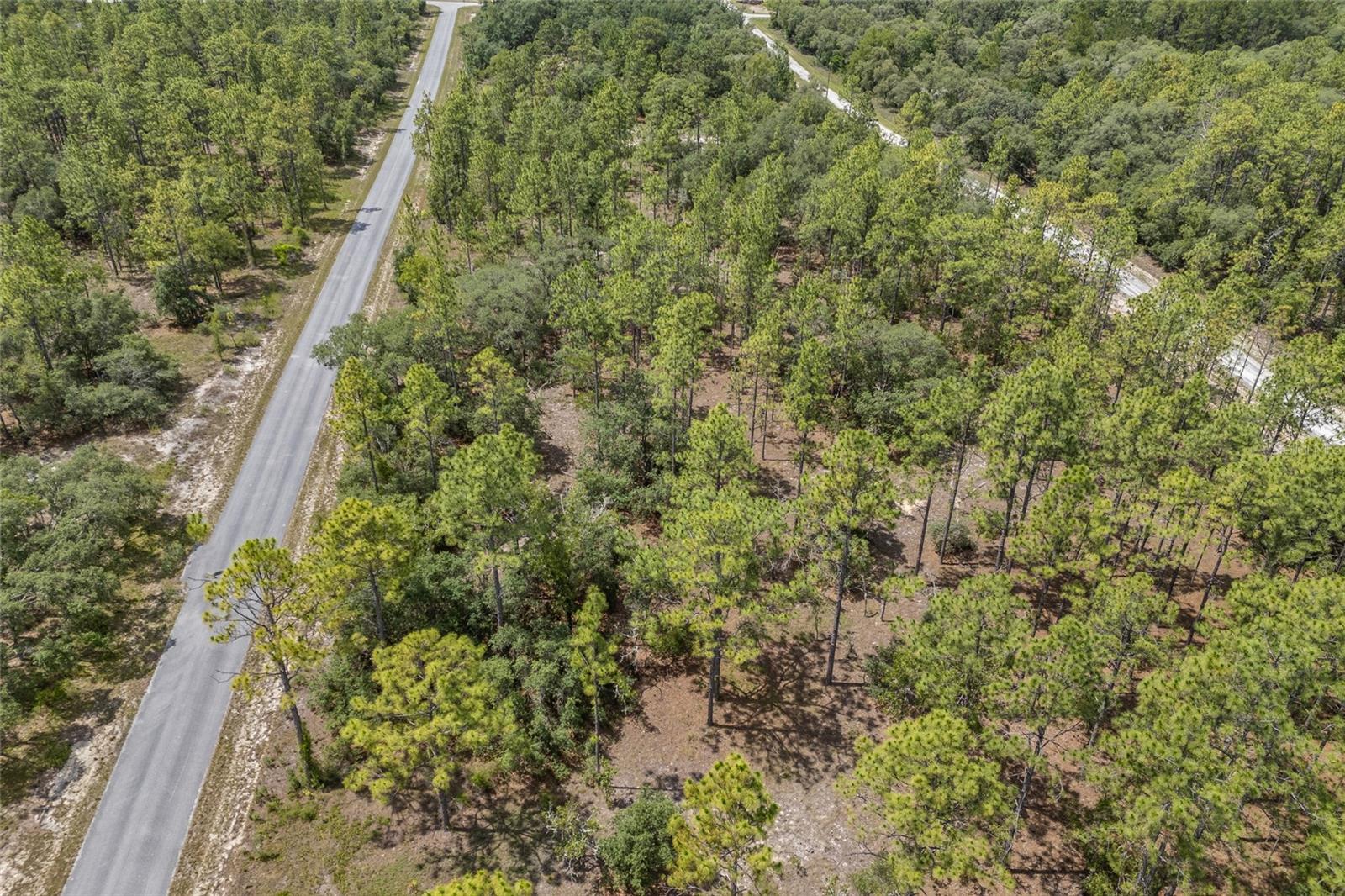 SW 134 TER, DUNNELLON, FL — photo 6