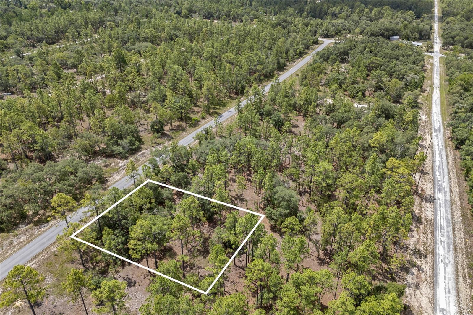 SW 134 TER, DUNNELLON, FL — photo 7