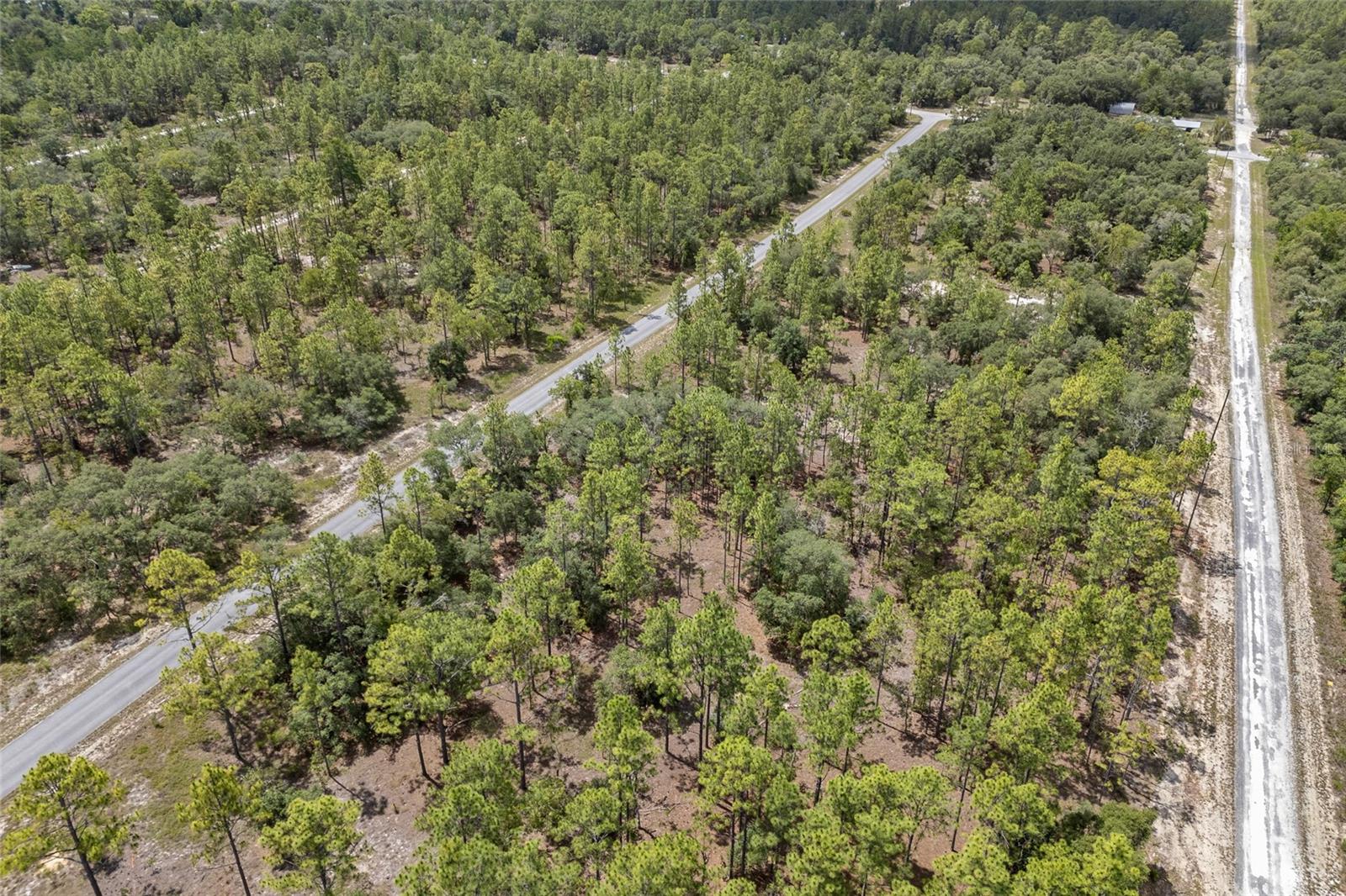 SW 134 TER, DUNNELLON, FL — photo 8