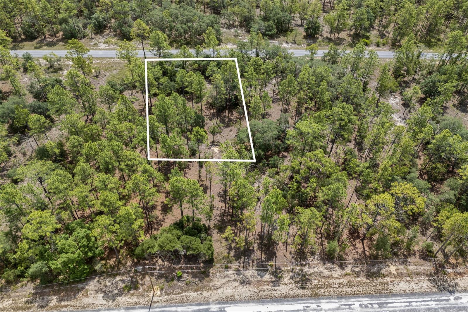 SW 134 TER, DUNNELLON, FL — photo 9