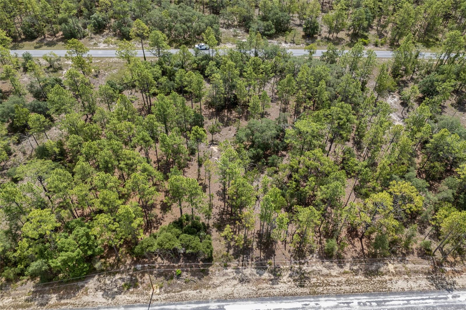 SW 134 TER, DUNNELLON, FL — photo 10