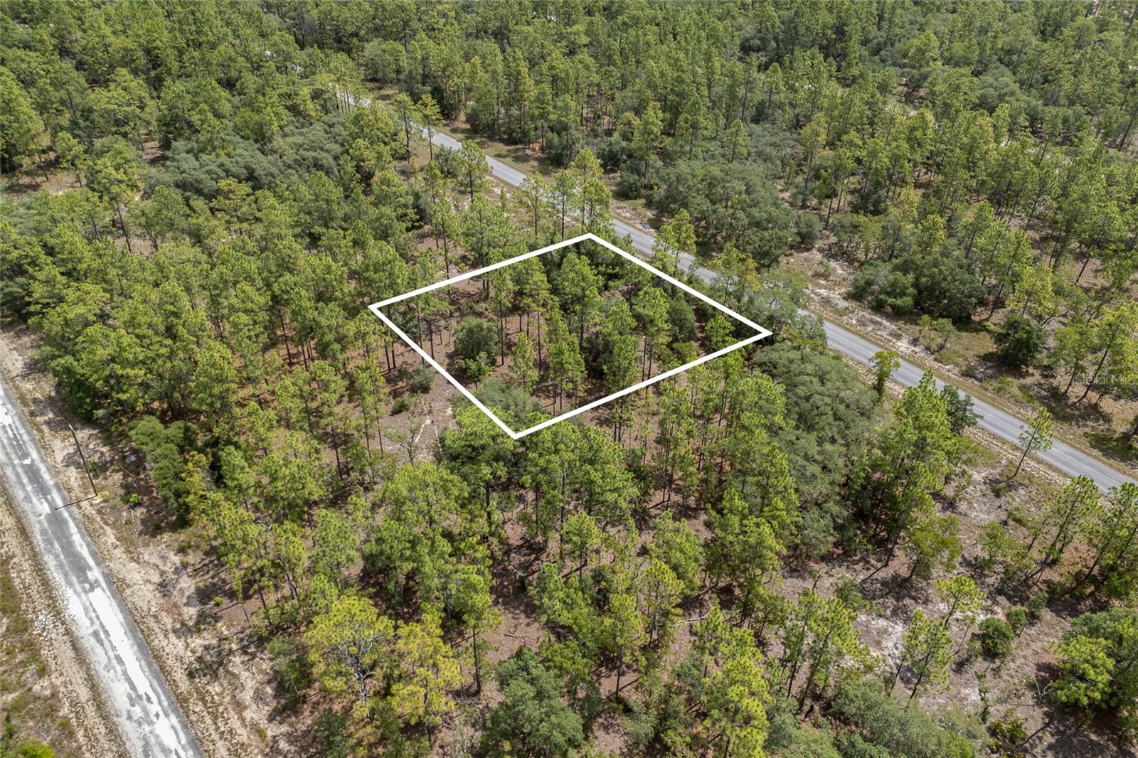 SW 134 TER, DUNNELLON, FL — photo 11