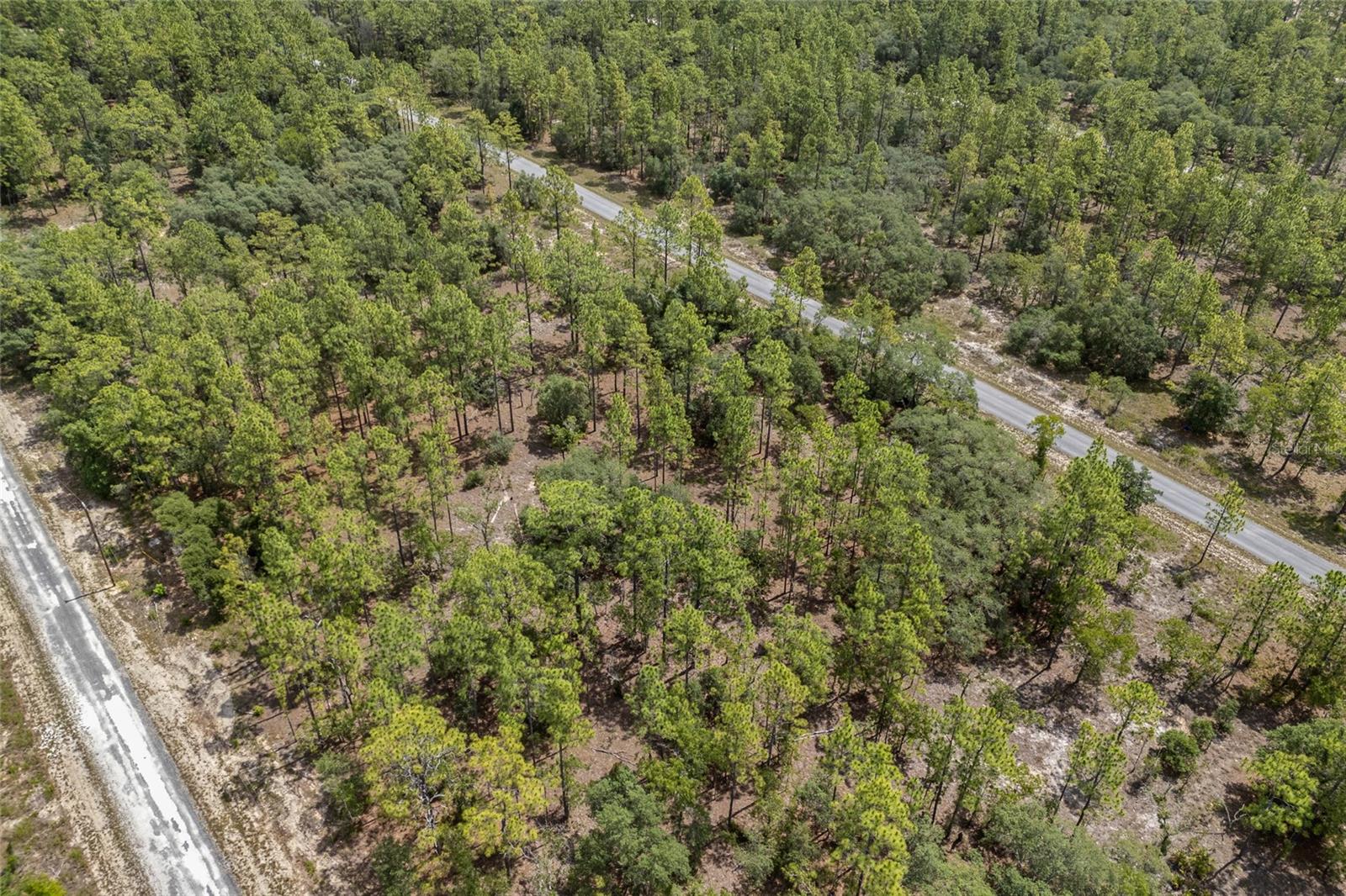 SW 134 TER, DUNNELLON, FL — photo 12