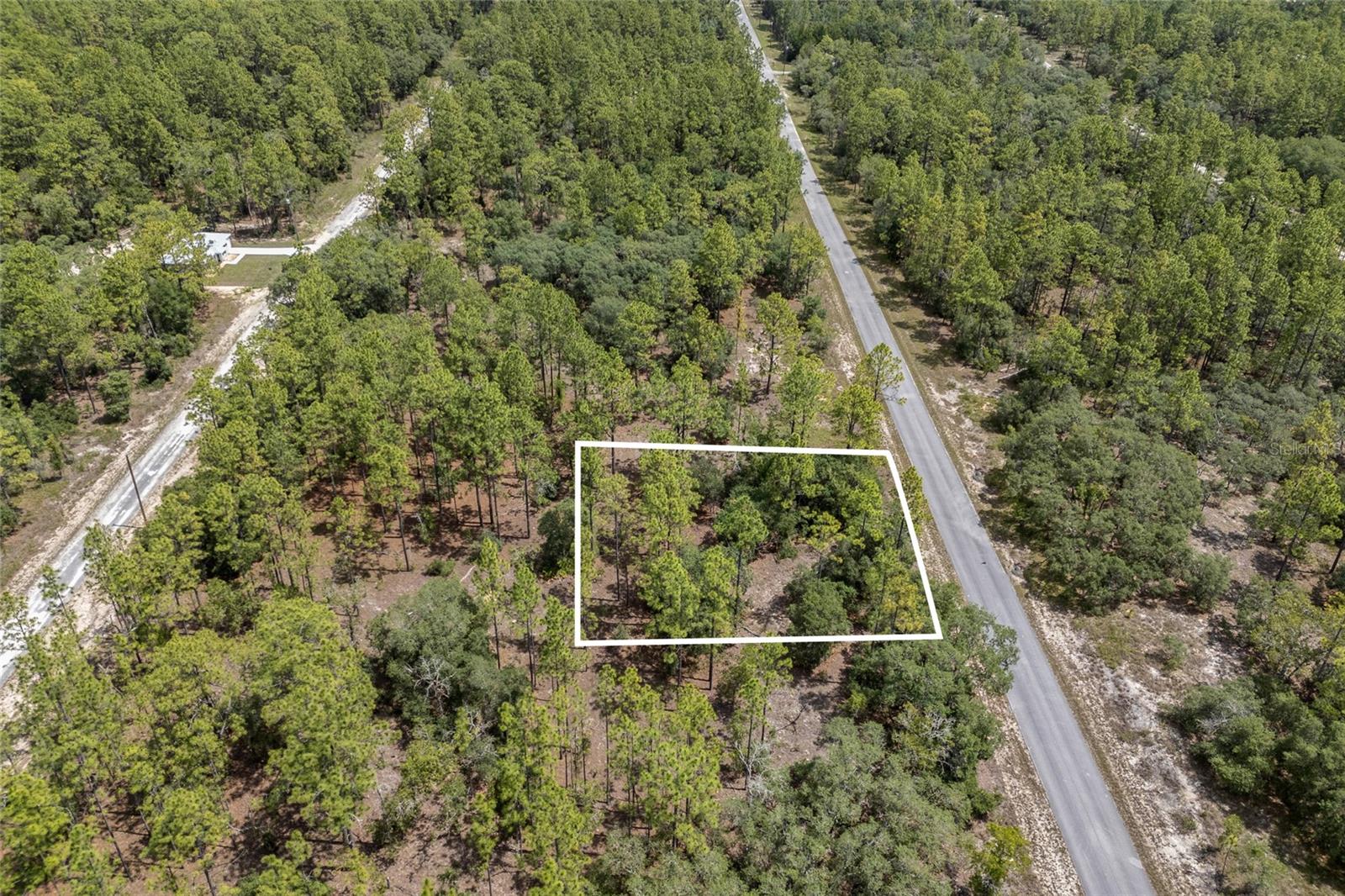 SW 134 TER, DUNNELLON, FL — photo 13