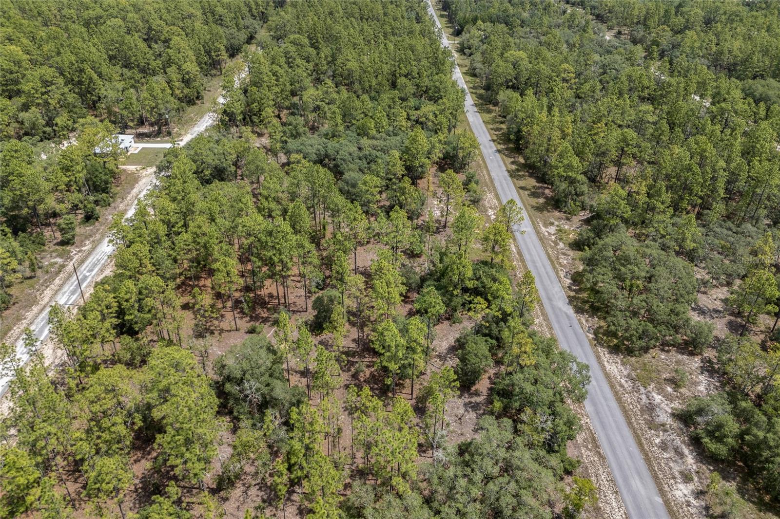 SW 134 TER, DUNNELLON, FL — photo 14