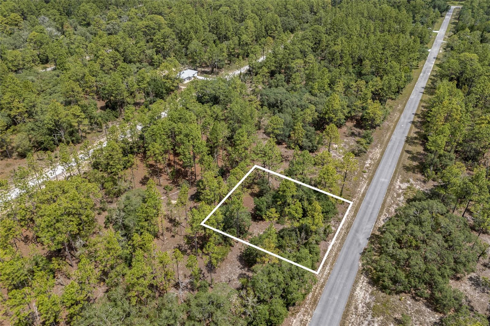 SW 134 TER, DUNNELLON, FL — photo 15