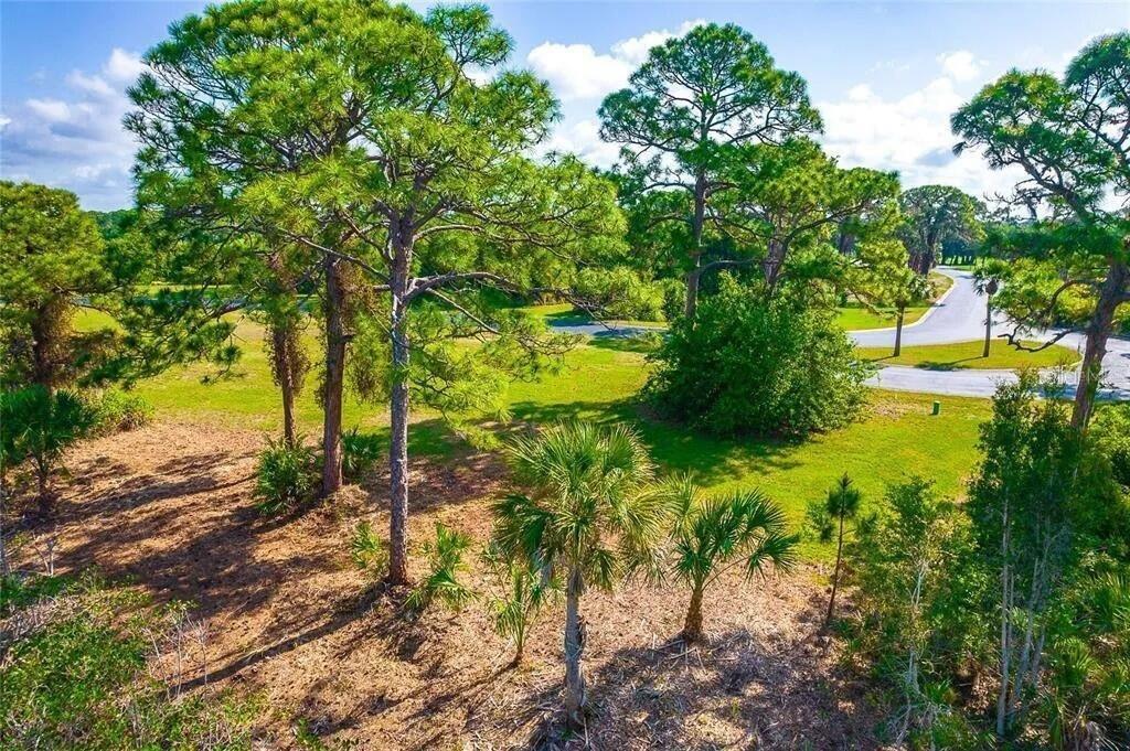 10131 EAGLE PRESERVE DR, ENGLEWOOD, FL — photo 13