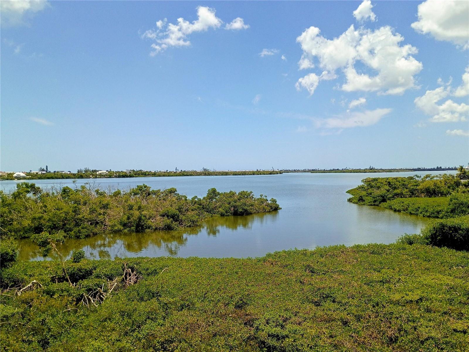 10131 EAGLE PRESERVE DR, ENGLEWOOD, FL — photo 17