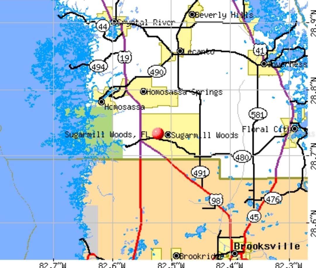 13 SCABIOSA CT, HOMOSASSA, FL — photo 7