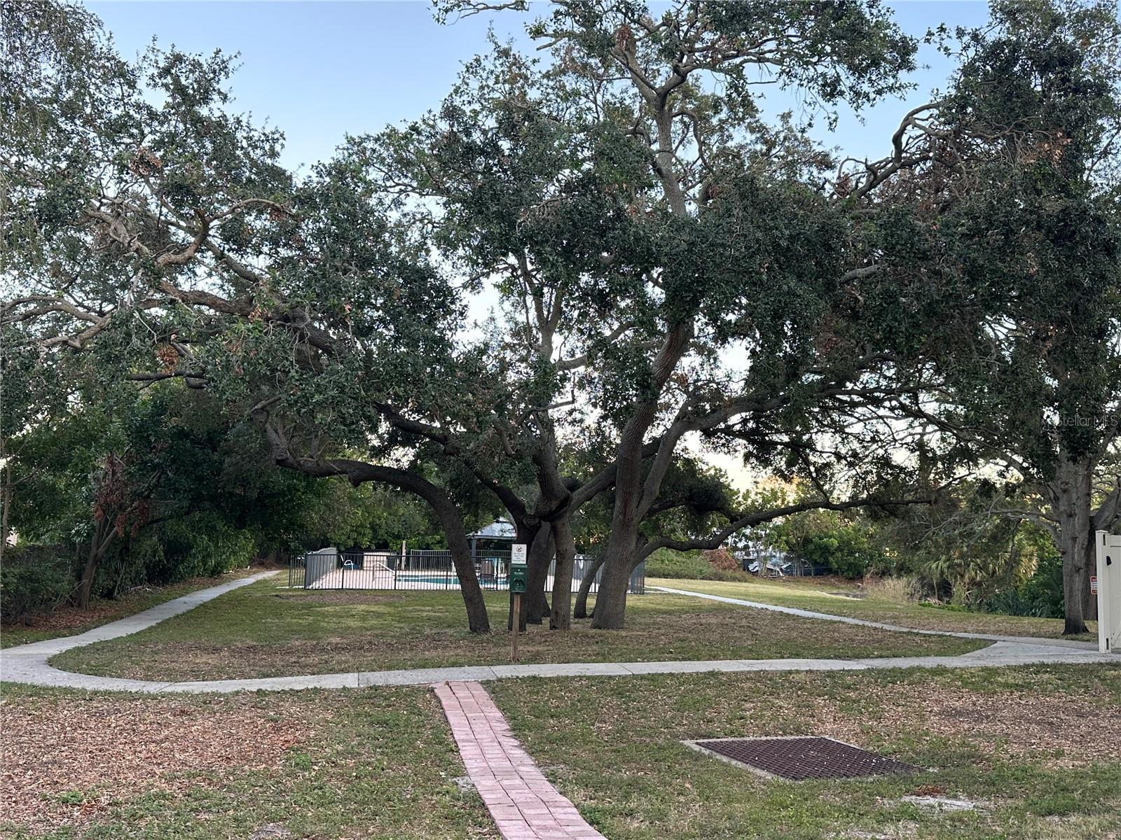 701 S MADISON AVE #410, CLEARWATER, FL — photo 22