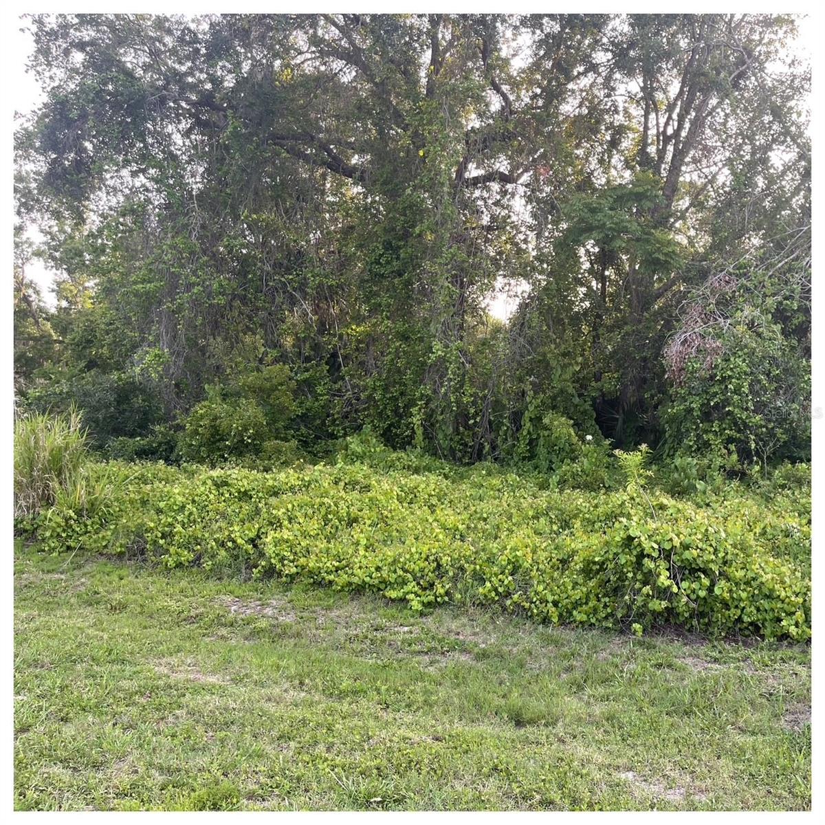 2701 KINGFISHER VLG, DELAND, FL — photo 5