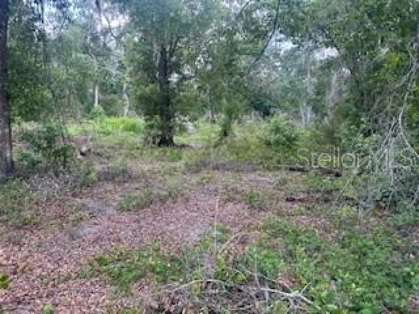 KARAGAN CT, WEBSTER, FL — photo 6