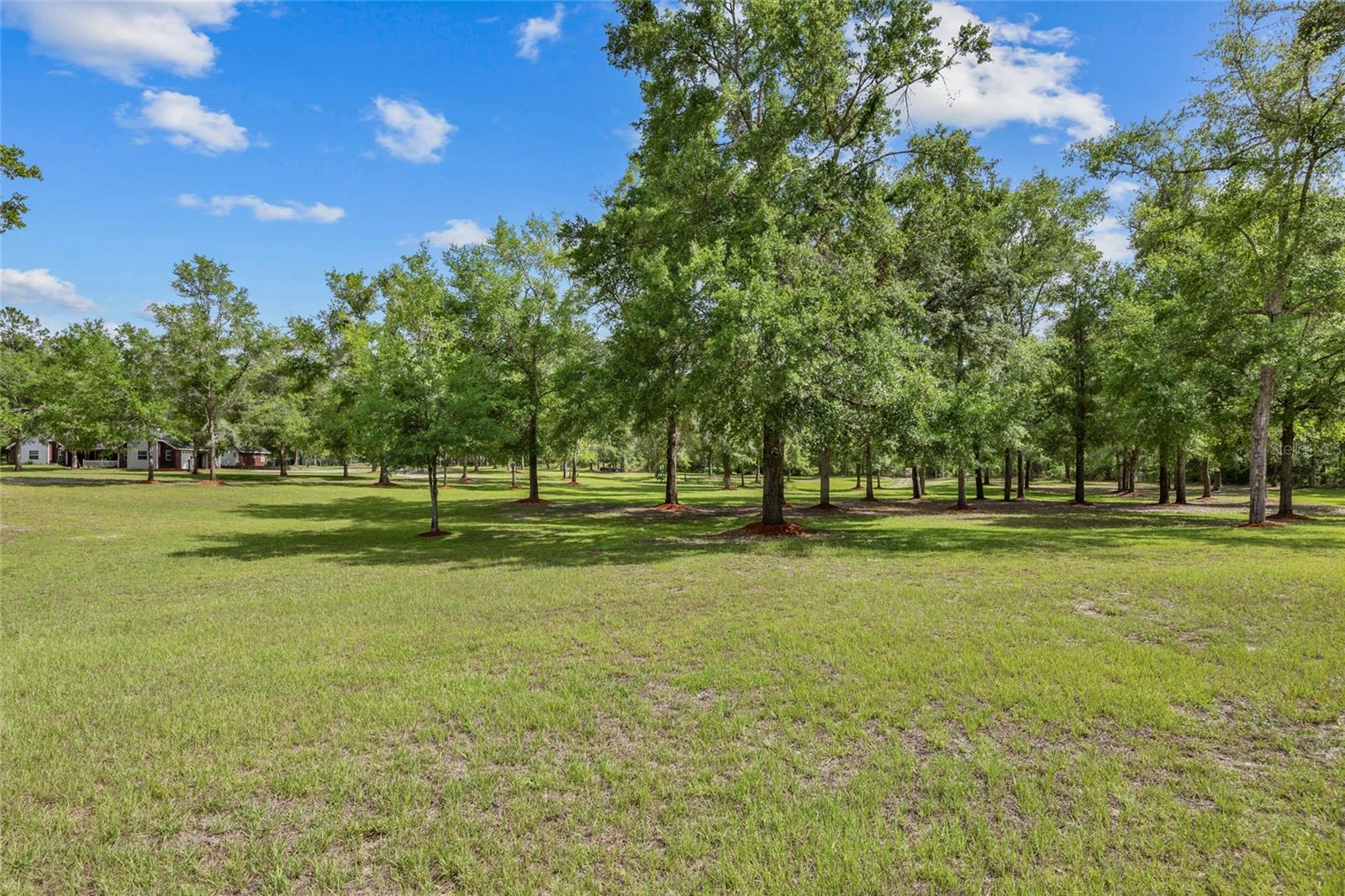 1827 SW SHILOH ST, FORT WHITE, FL — photo 5