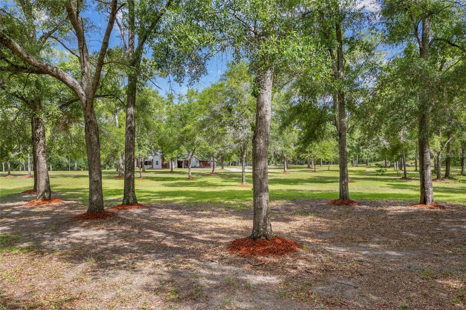 1827 SW SHILOH ST, FORT WHITE, FL — photo 8