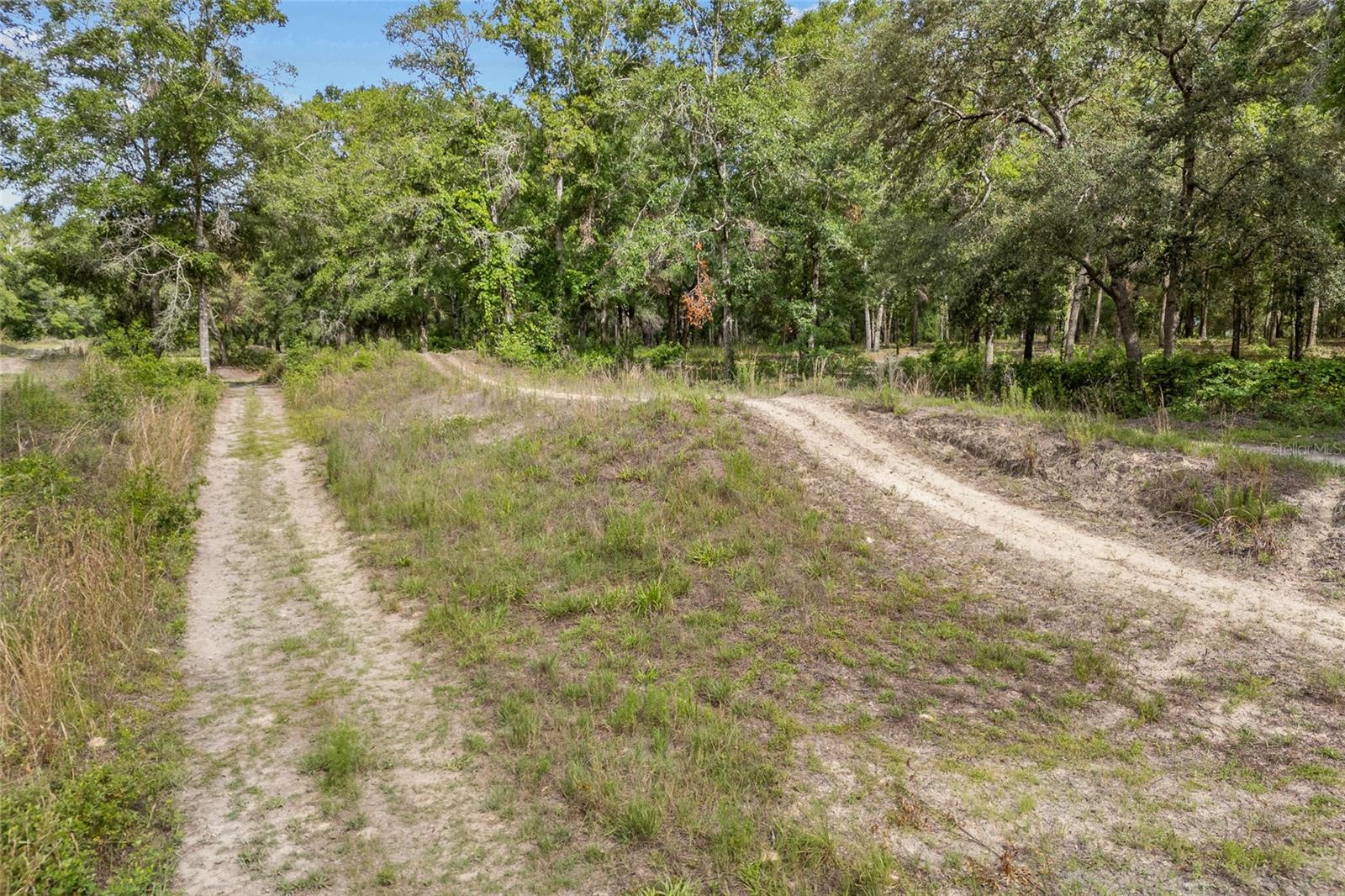 1827 SW SHILOH ST, FORT WHITE, FL — photo 52