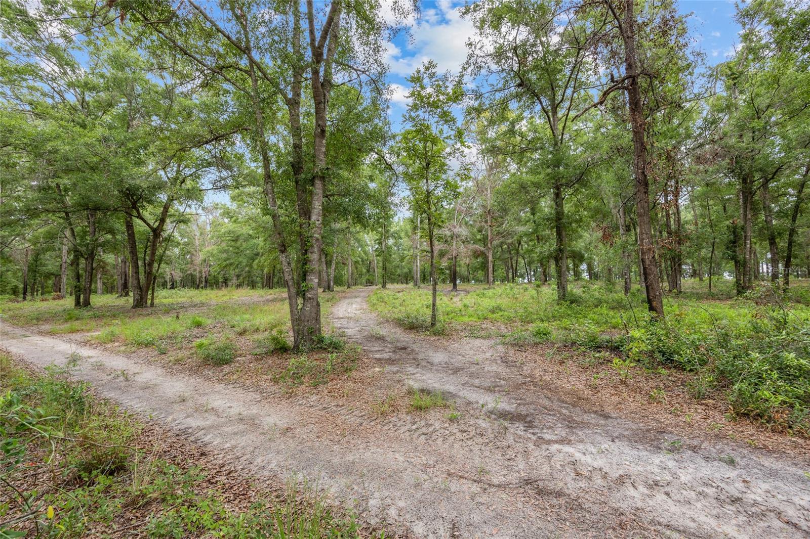 1827 SW SHILOH ST, FORT WHITE, FL — photo 53