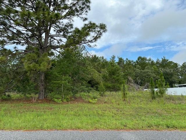 Lot 6 SW 48 COURT ROAD, OCALA, FL