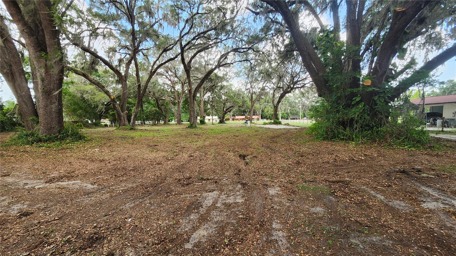 7059 SE COUNTY HIGHWAY 25A, BELLEVIEW, FL — photo 3