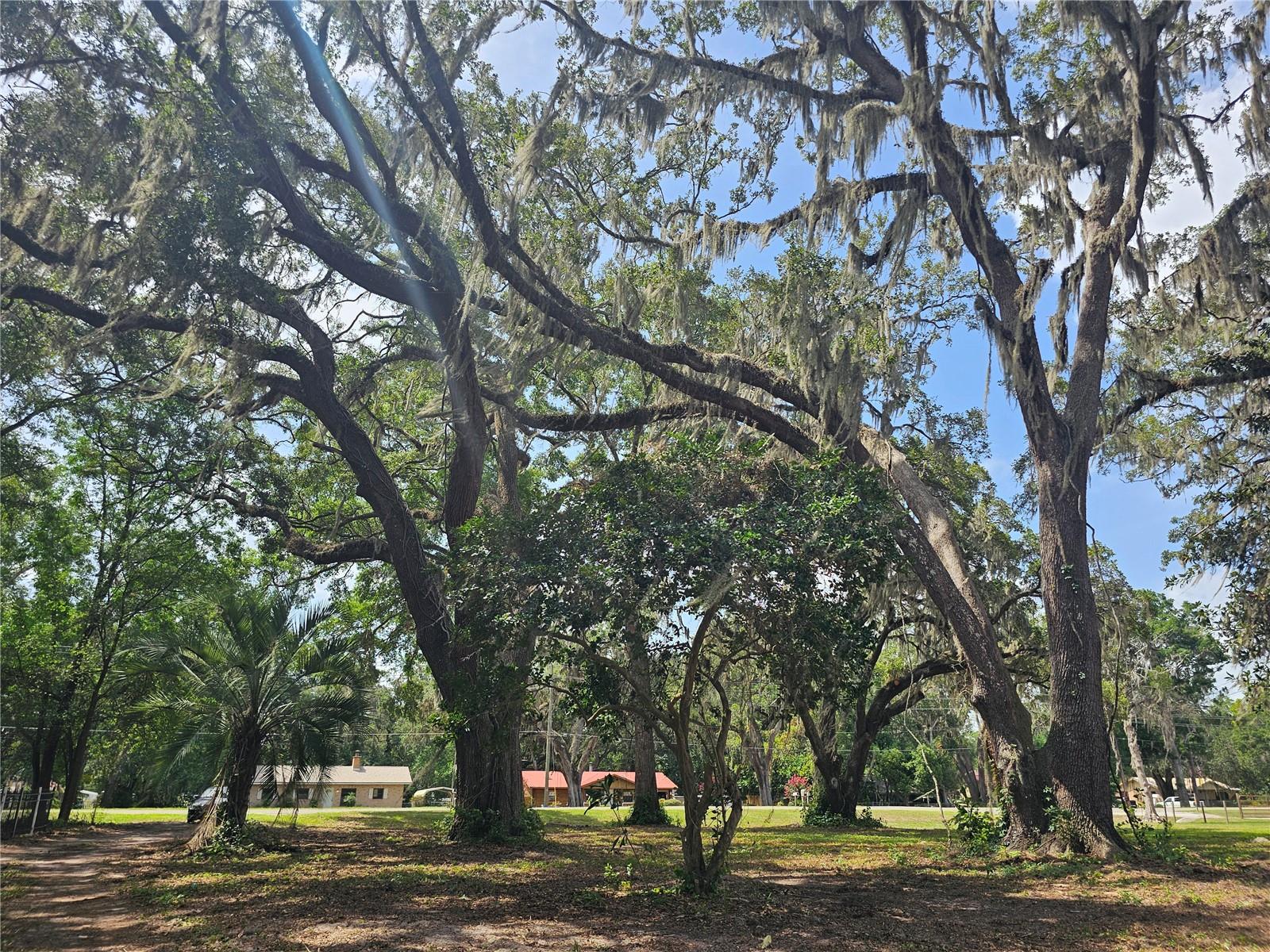 7059 SE COUNTY HIGHWAY 25A, BELLEVIEW, FL — photo 22