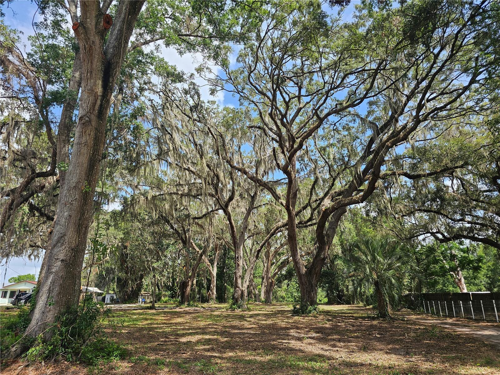 7059 SE COUNTY HIGHWAY 25A, BELLEVIEW, FL — photo 26