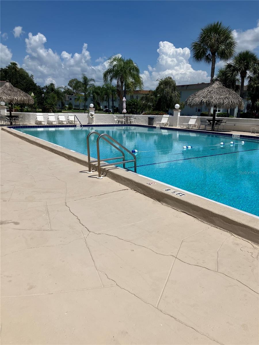 337 S MCMULLEN BOOTH RD #157, CLEARWATER, FL — photo 27