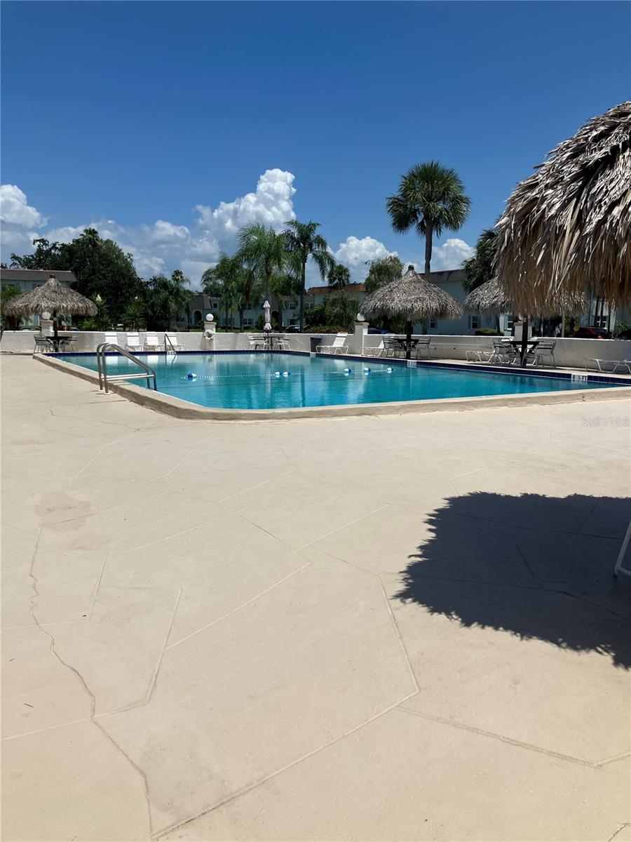 337 S MCMULLEN BOOTH RD #157, CLEARWATER, FL — photo 28