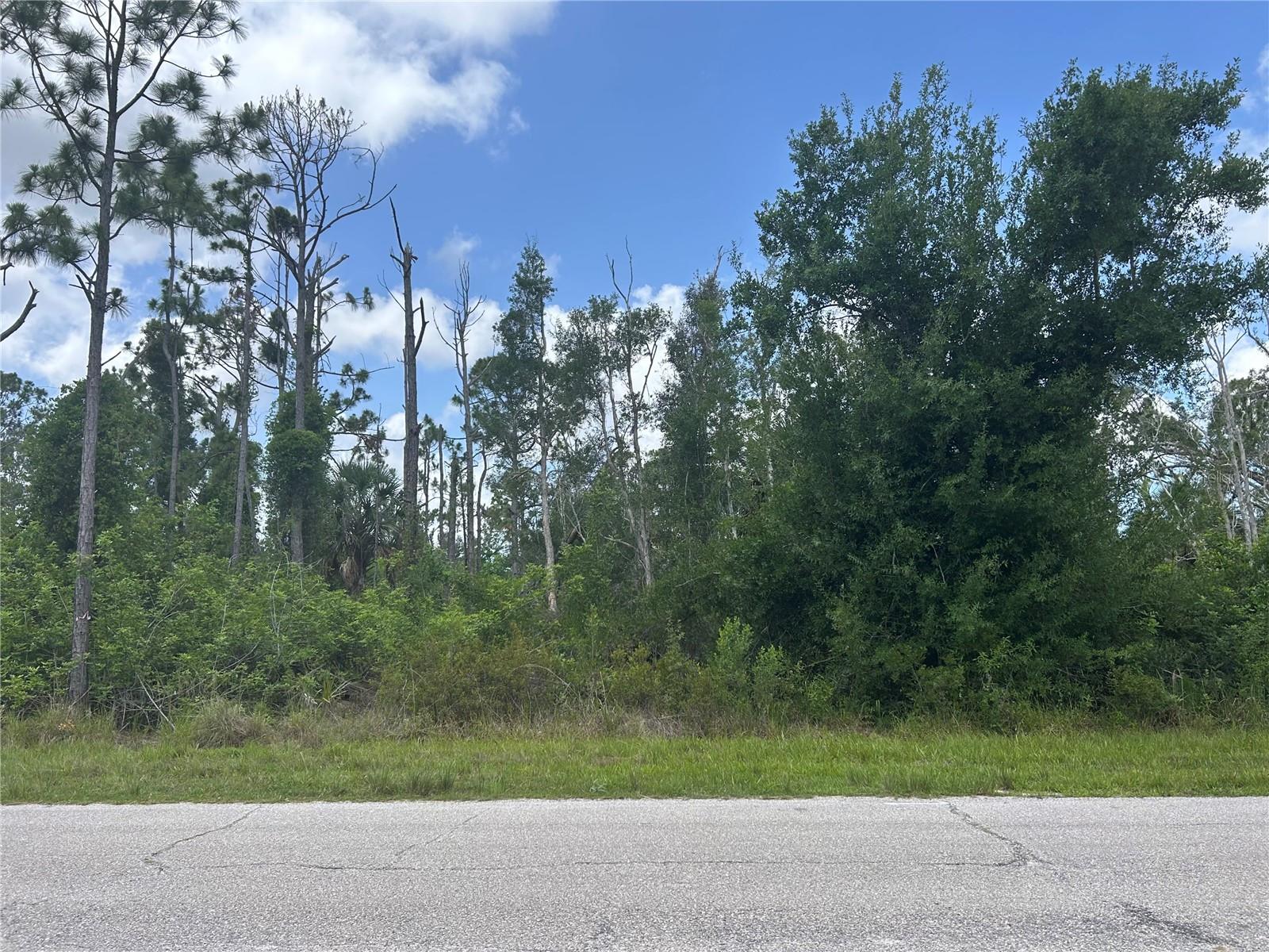 14309 SANILAC AVE, PORT CHARLOTTE, FL — photo 2
