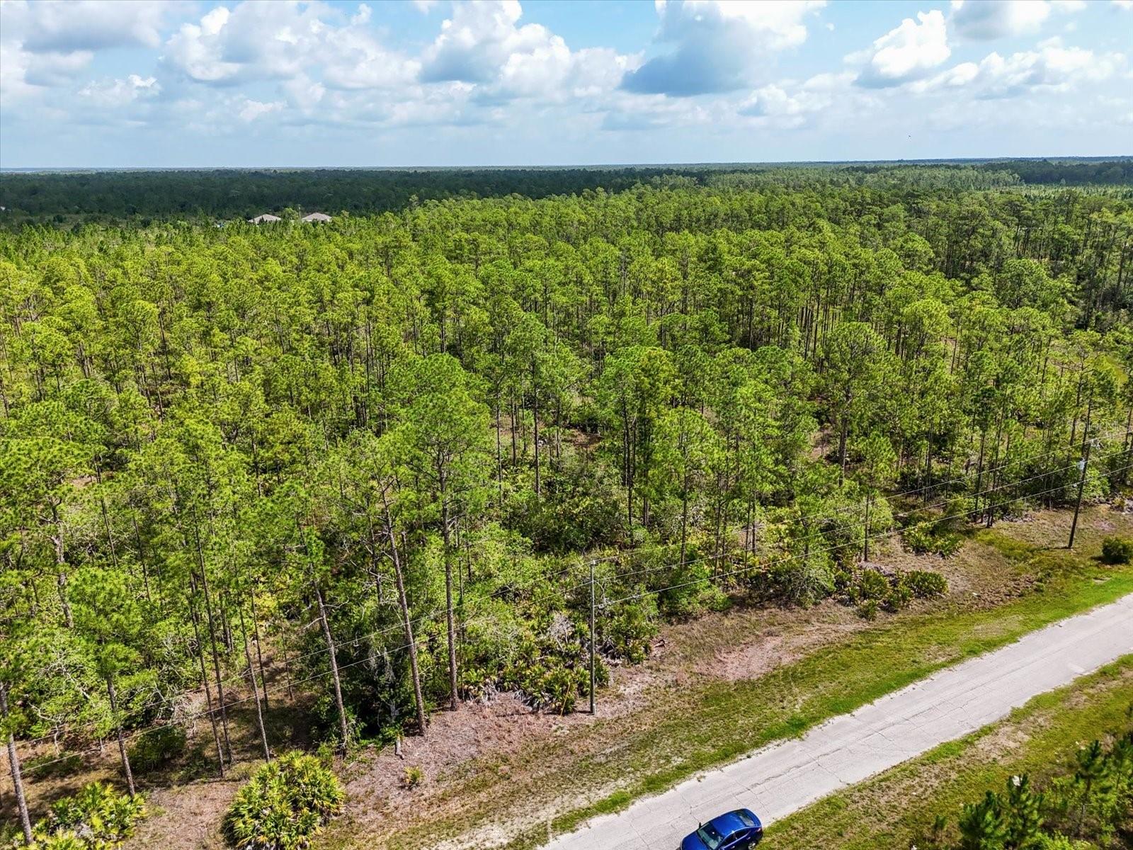 LOT 61 MEADOW LARK BLVD, LAKE WALES, FL — photo 11