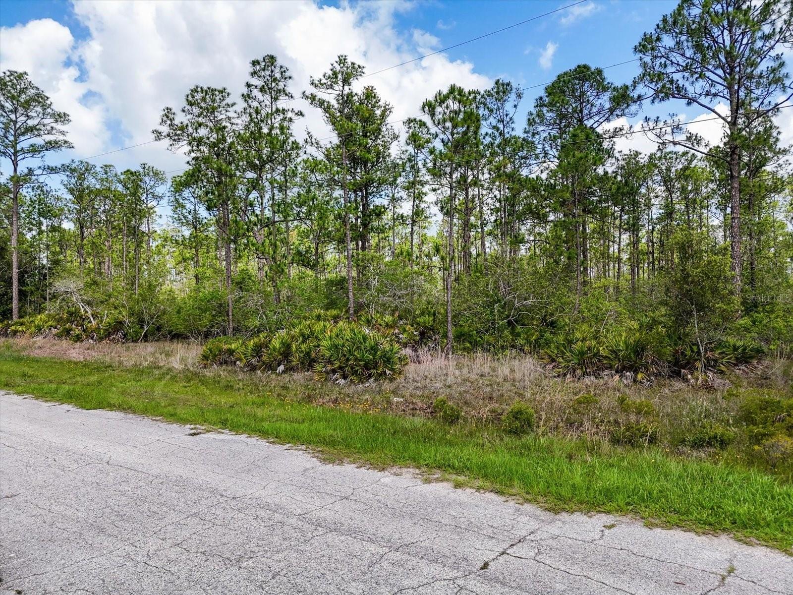 LOT 61 MEADOW LARK BLVD, LAKE WALES, FL — photo 12