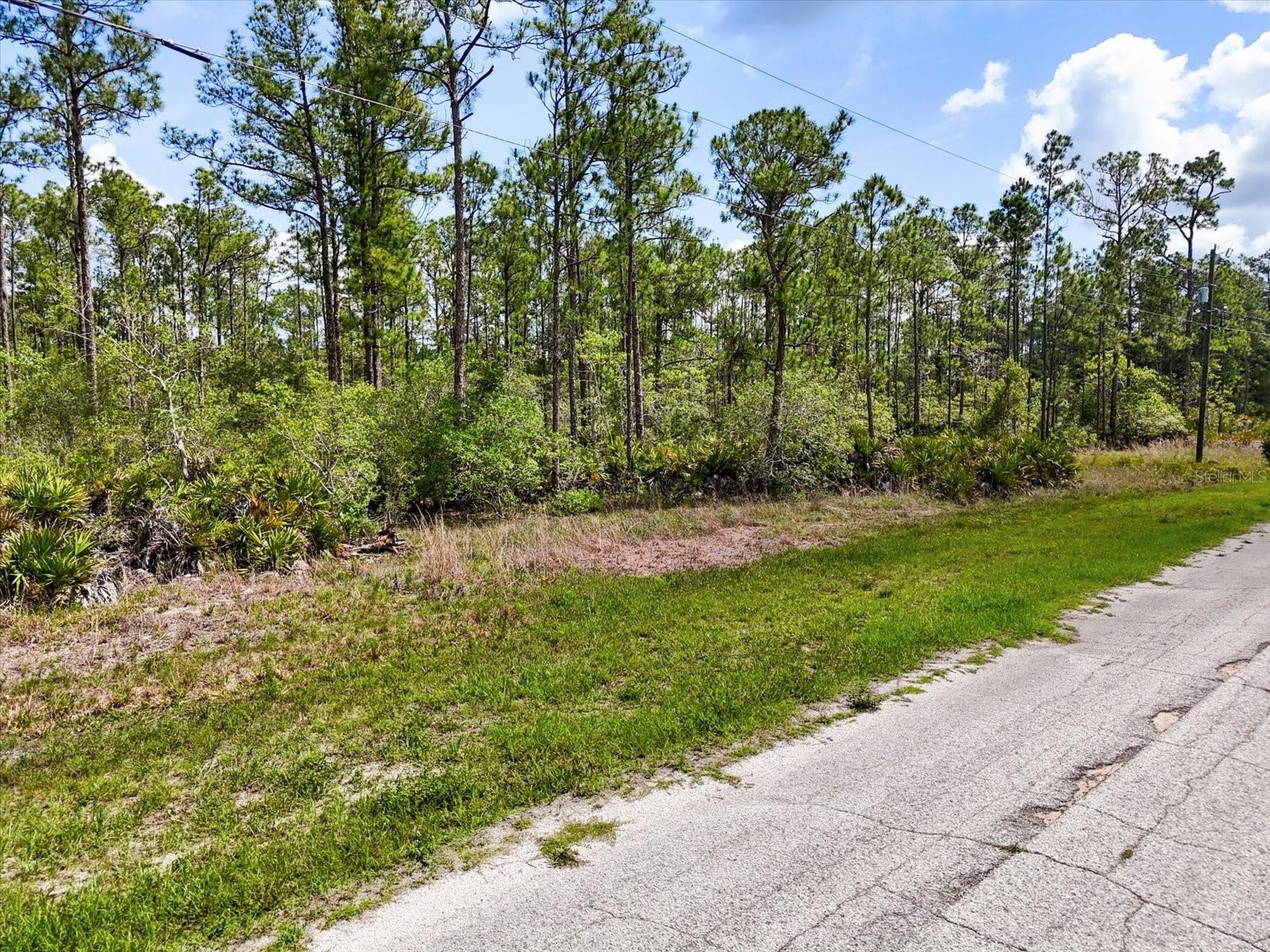 LOT 61 MEADOW LARK BLVD, LAKE WALES, FL