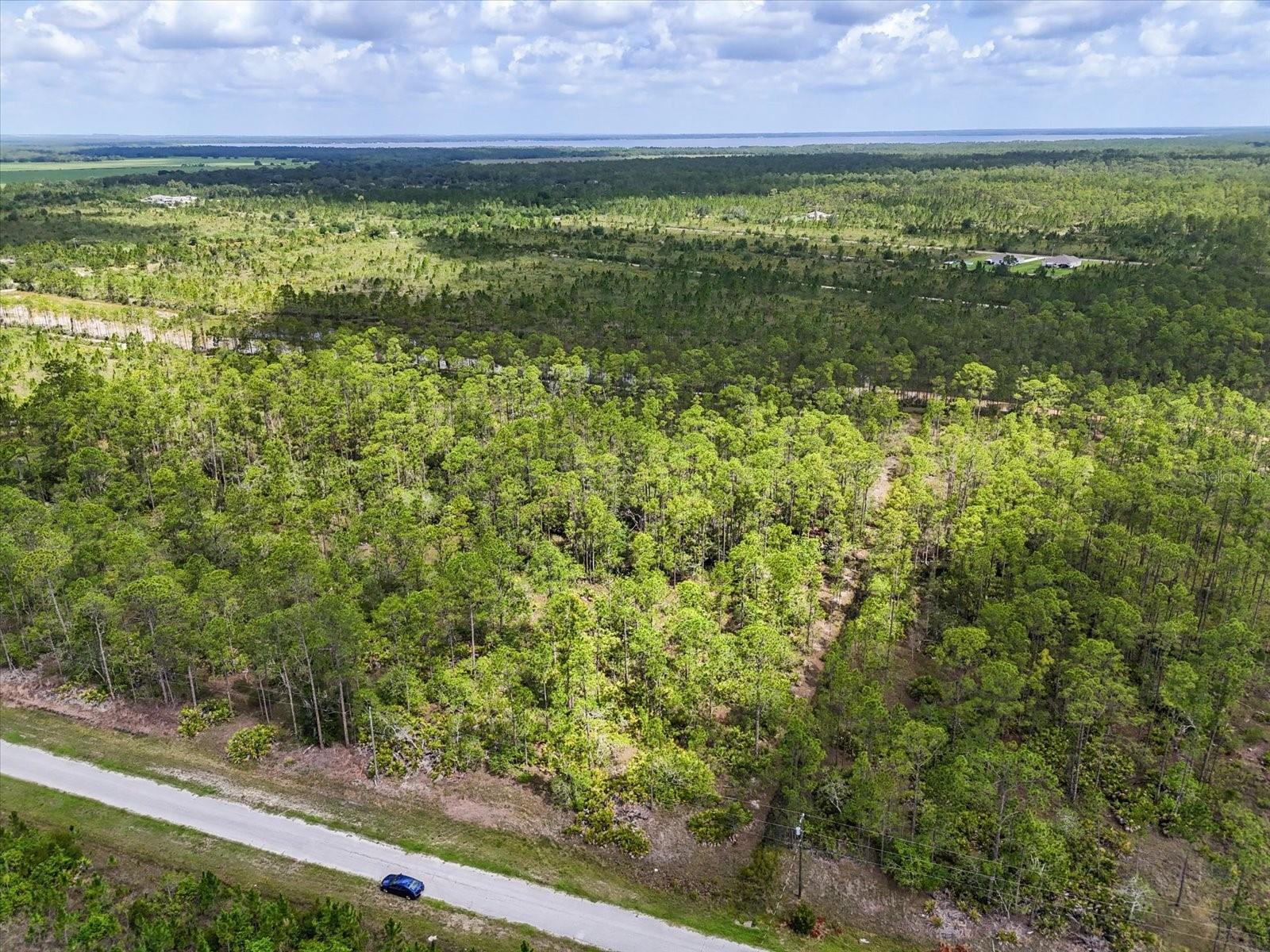 LOT 61 MEADOW LARK BLVD, LAKE WALES, FL — photo 5