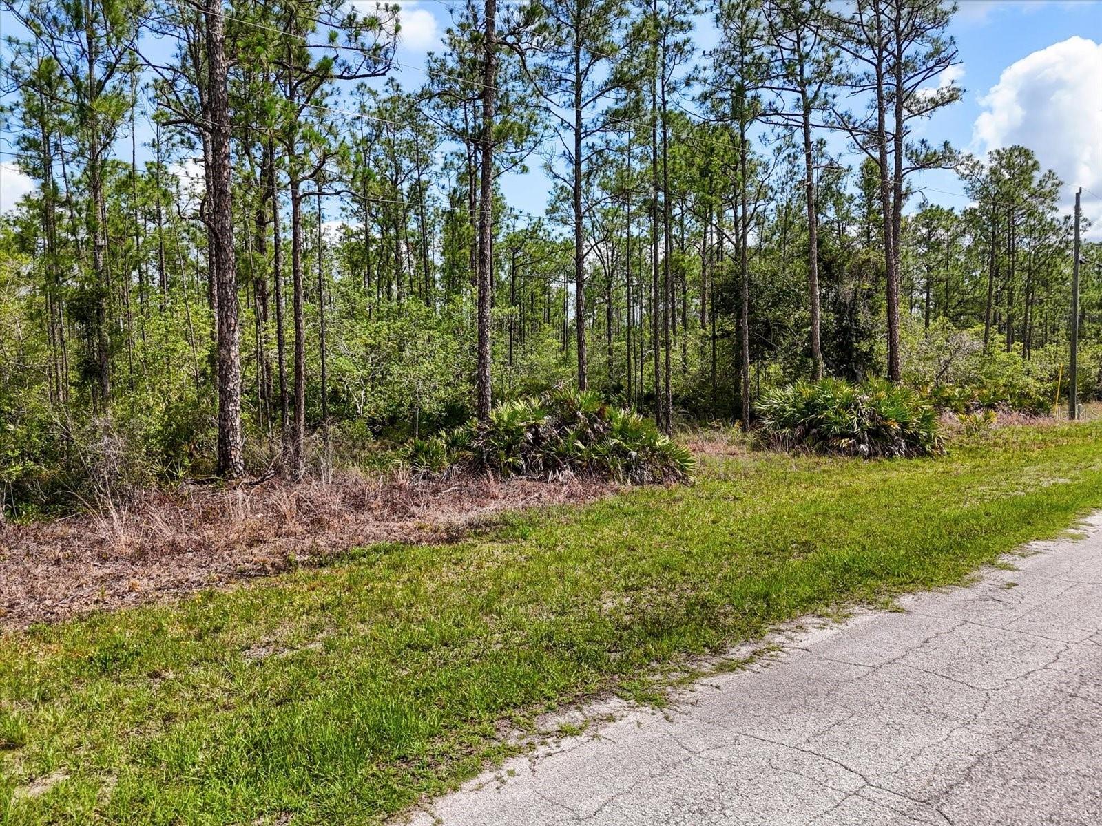 LOT 62 MEADOW LARK BLVD, LAKE WALES, FL