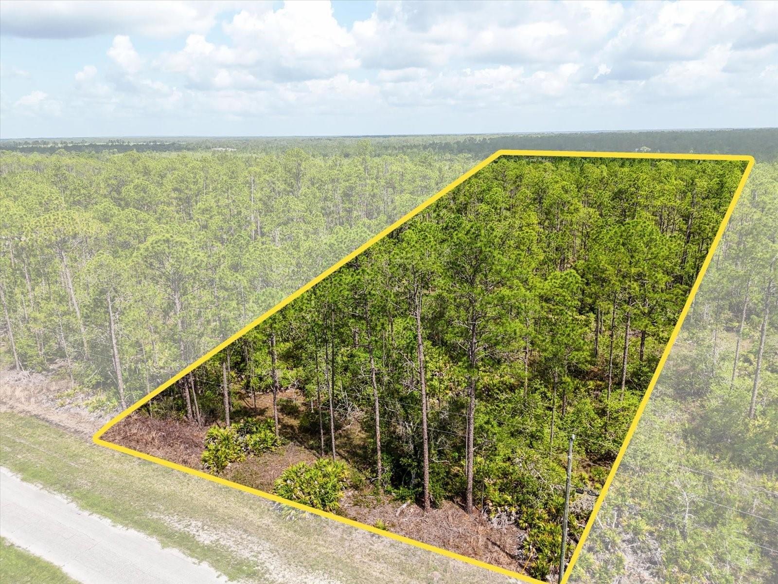 LOT 62 MEADOW LARK BLVD, LAKE WALES, FL — photo 2
