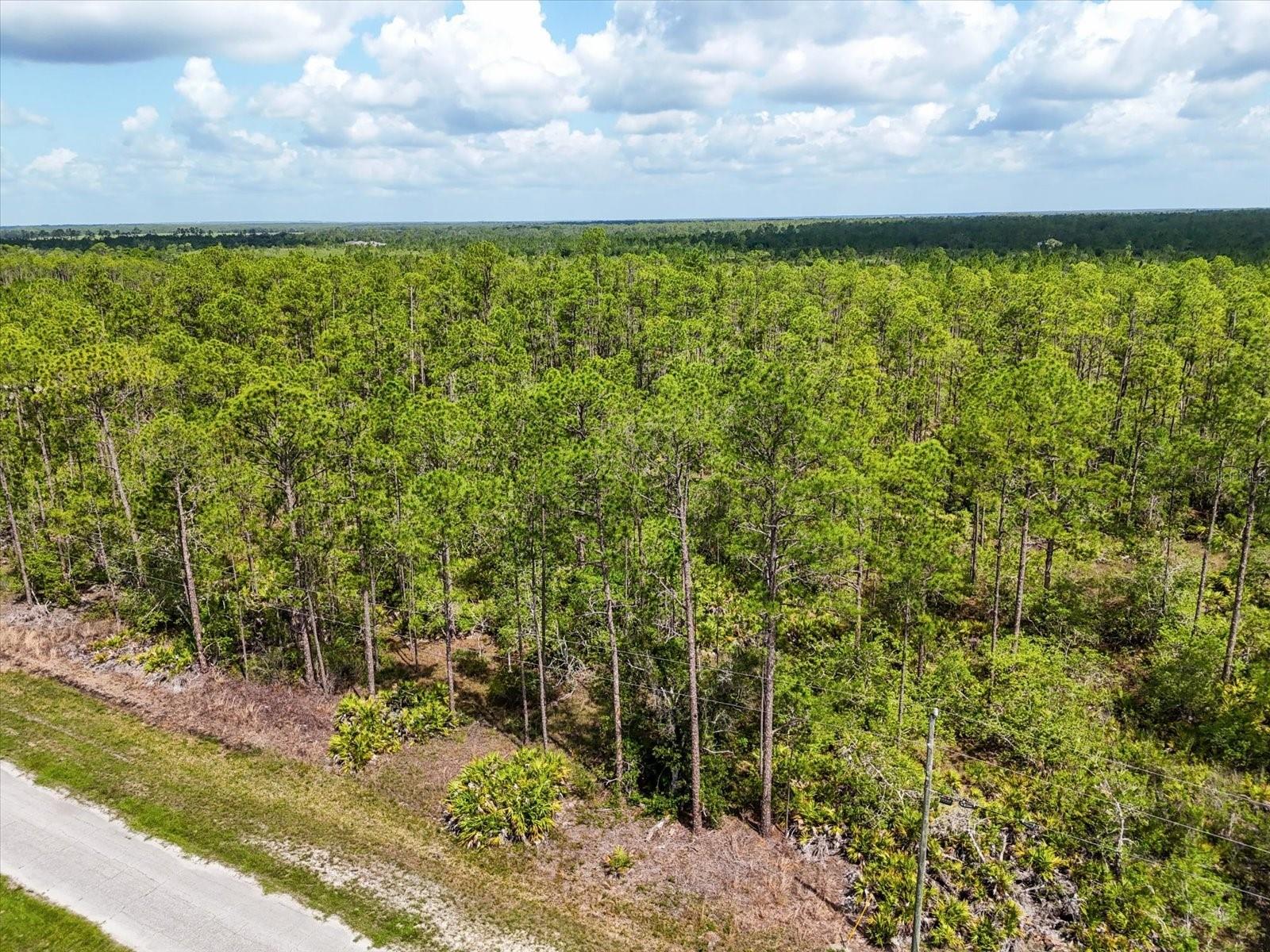 LOT 62 MEADOW LARK BLVD, LAKE WALES, FL — photo 5