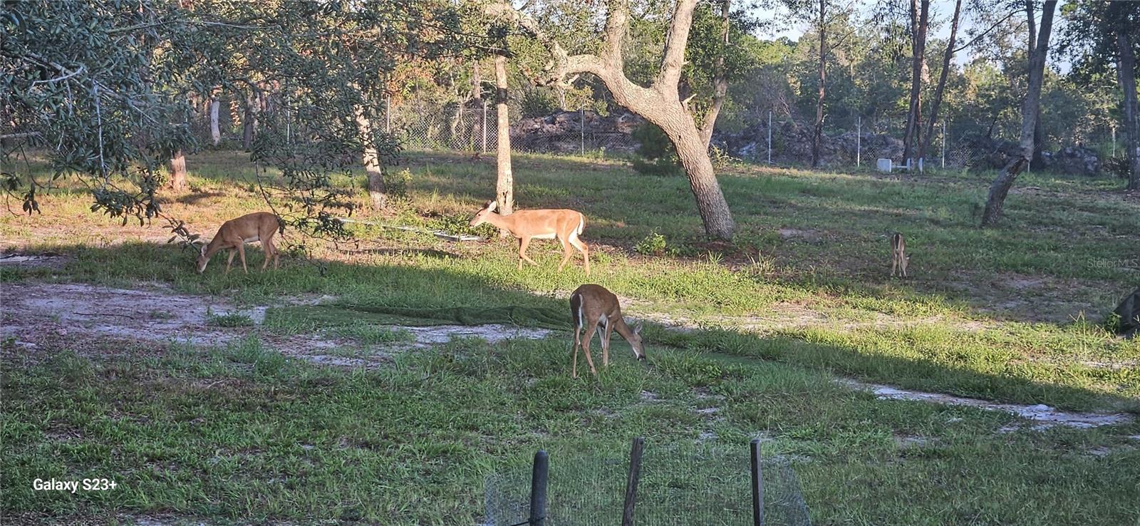40140 SWIFT RD, EUSTIS, FL — photo 71