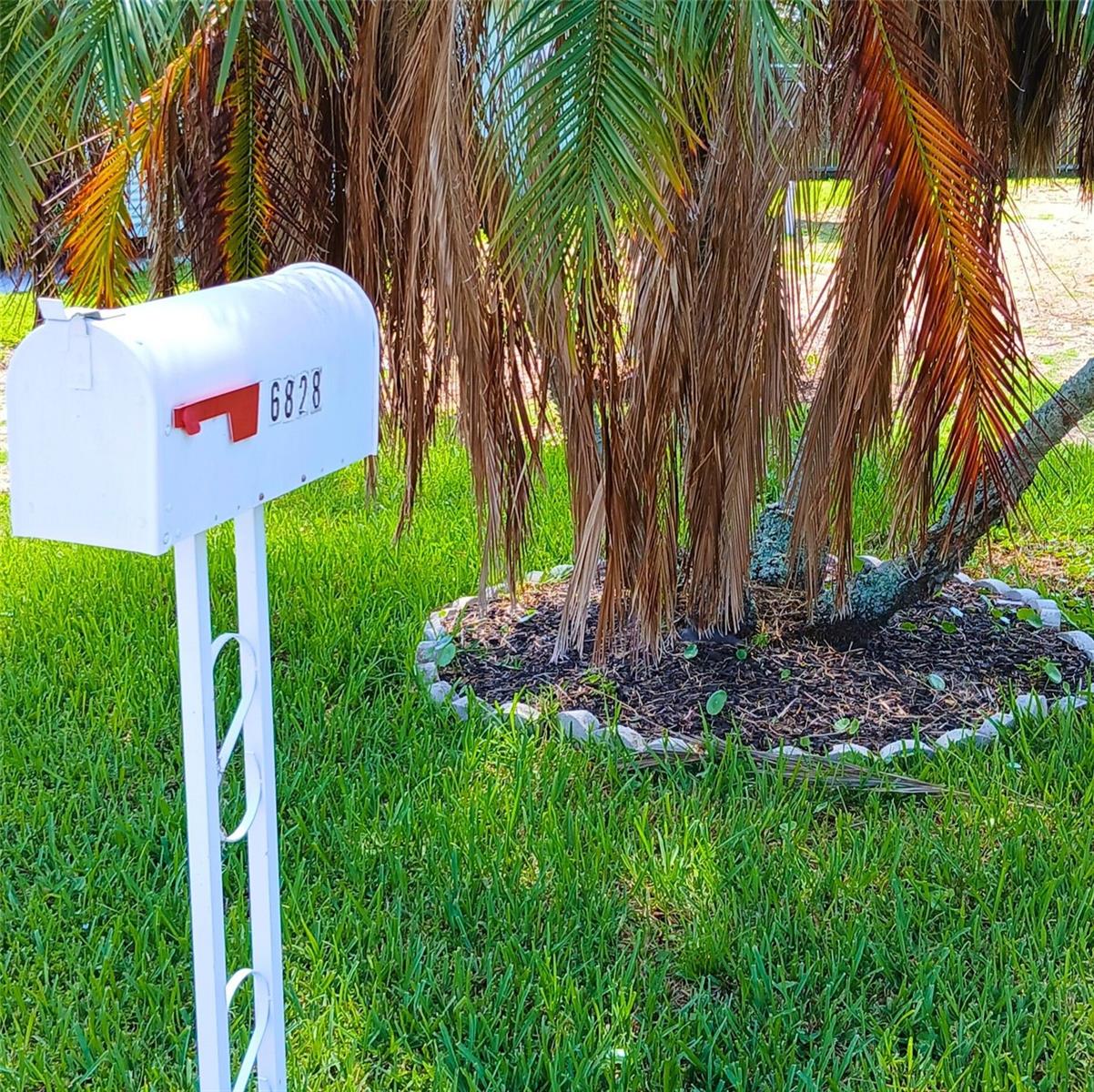 6828 EDGEWATER DR, NEW PORT RICHEY, FL — photo 3