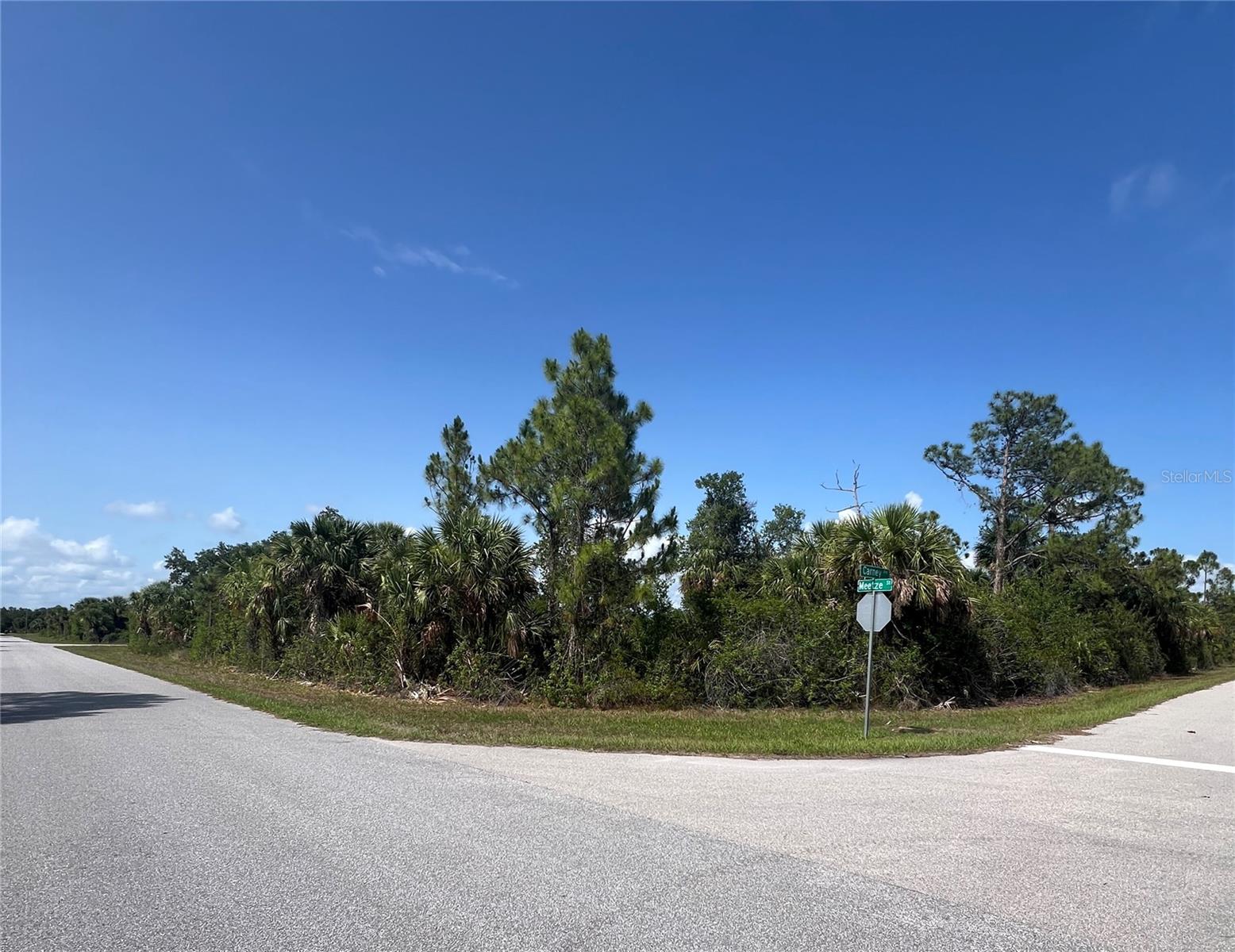 14114 CARNEY AVE, PORT CHARLOTTE, FL