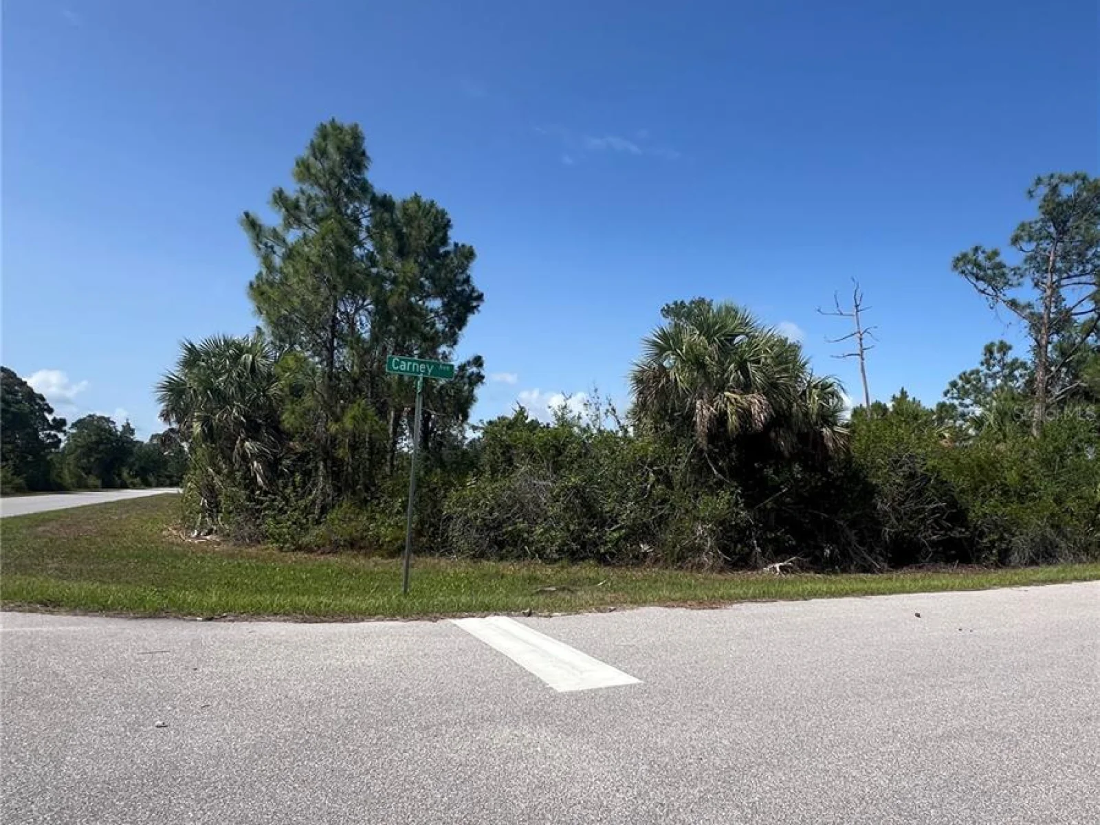 14114 CARNEY AVE, PORT CHARLOTTE, FL — photo 9