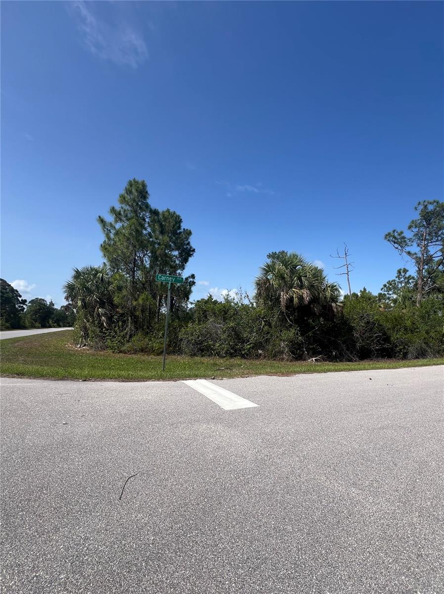 14114 CARNEY AVE, PORT CHARLOTTE, FL — photo 10