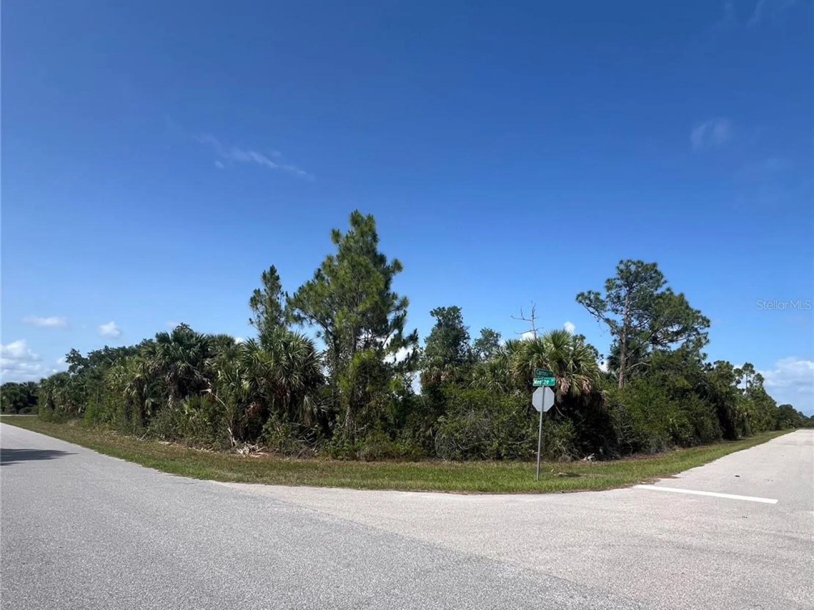 14114 CARNEY AVE, PORT CHARLOTTE, FL — photo 21
