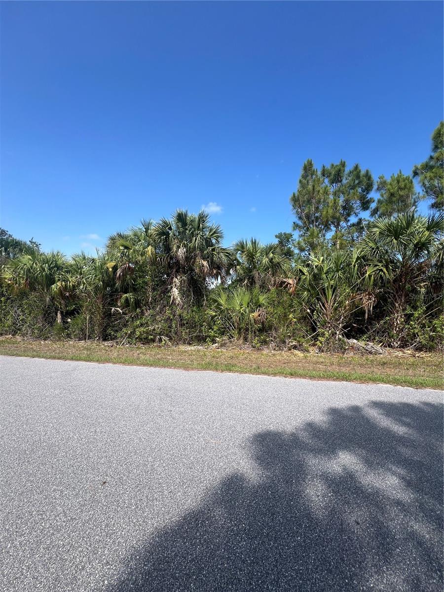 14114 CARNEY AVE, PORT CHARLOTTE, FL — photo 24