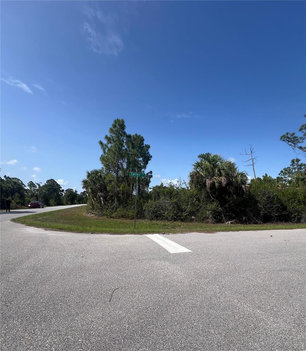14114 CARNEY AVE, PORT CHARLOTTE, FL — photo 28